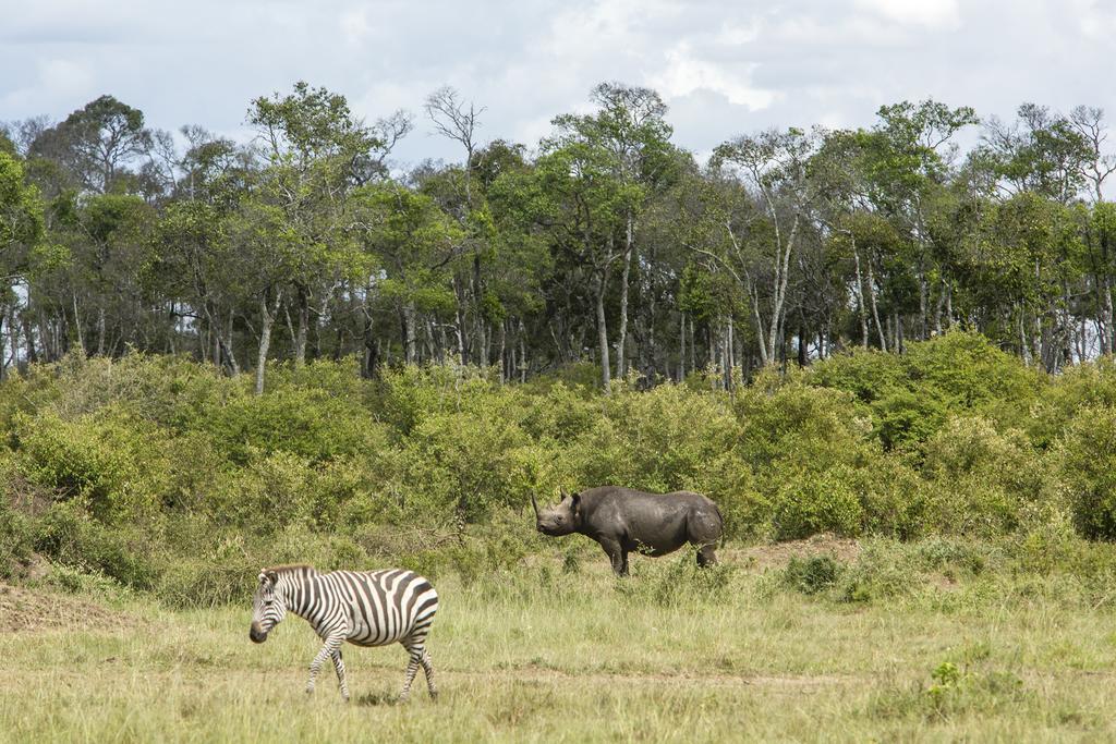 Mara Engai Lodge Lolgorien Bagian luar foto