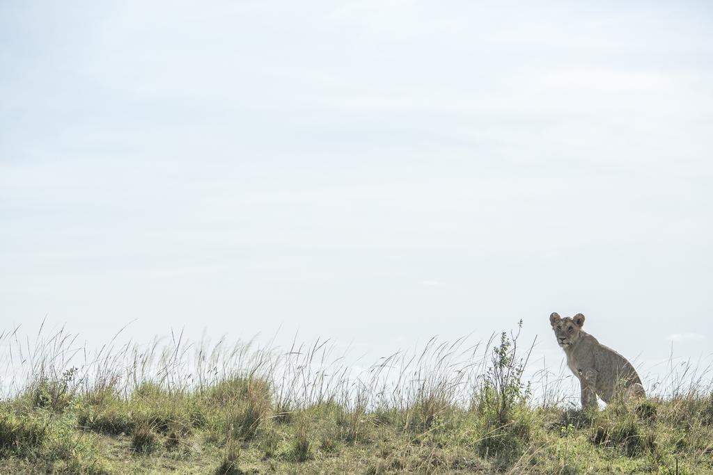 Mara Engai Lodge Lolgorien Bagian luar foto