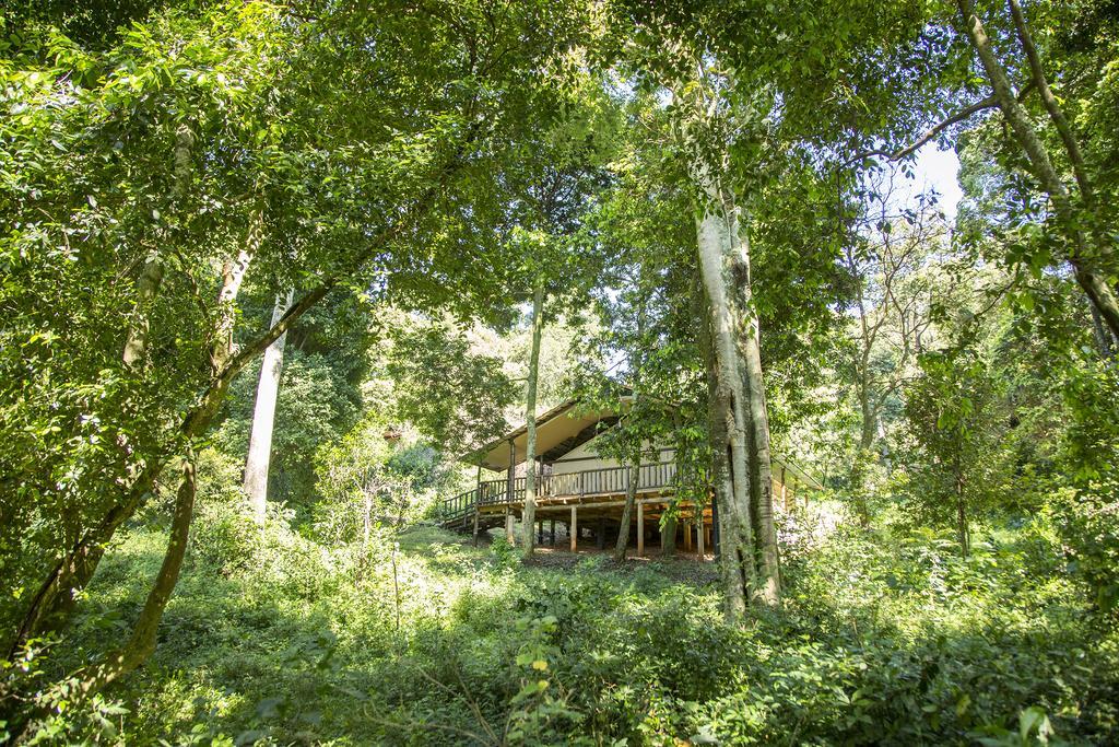 Mara Engai Lodge Lolgorien Bagian luar foto